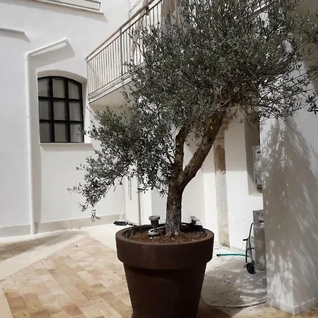 Chiostro Di S. Antonio * Marsala